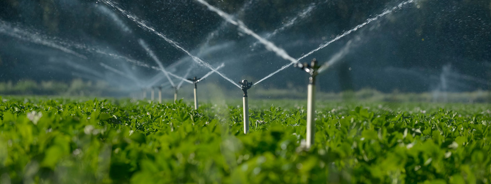 Sprinkler Irrigation Systems